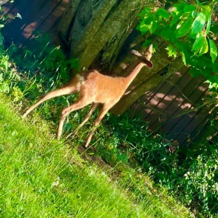 Miramar2 Aland Mariehamn