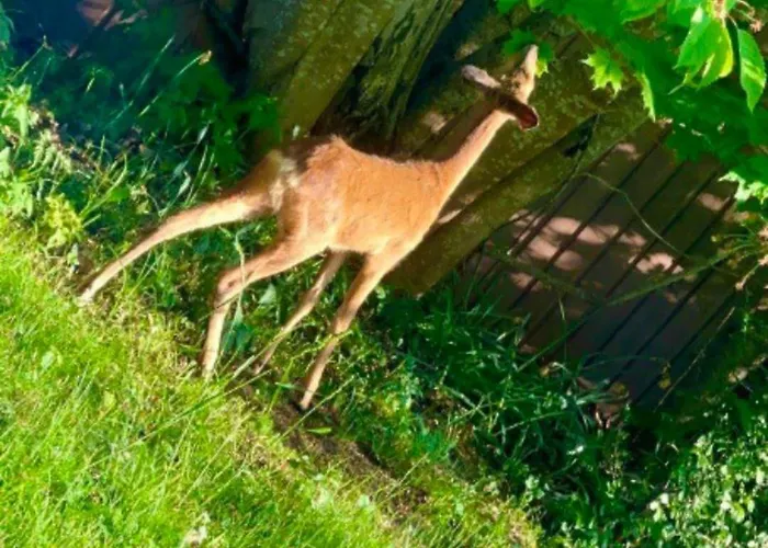 Miramar2 Aland Мариехамн